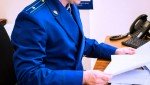 В Нижнекамске перед судом предстанет жительница Самары, выполнявшая роль курьера в мошеннической схеме